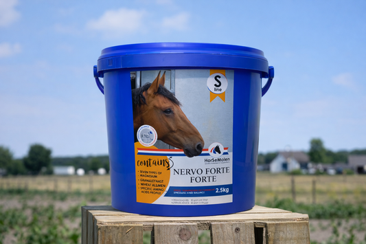 S-Line Nervo Forte FORTE